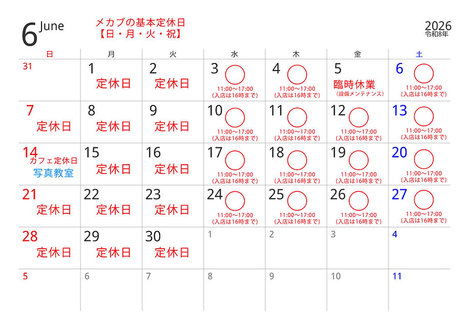calendar-sp0100-2026-1-6.jpg