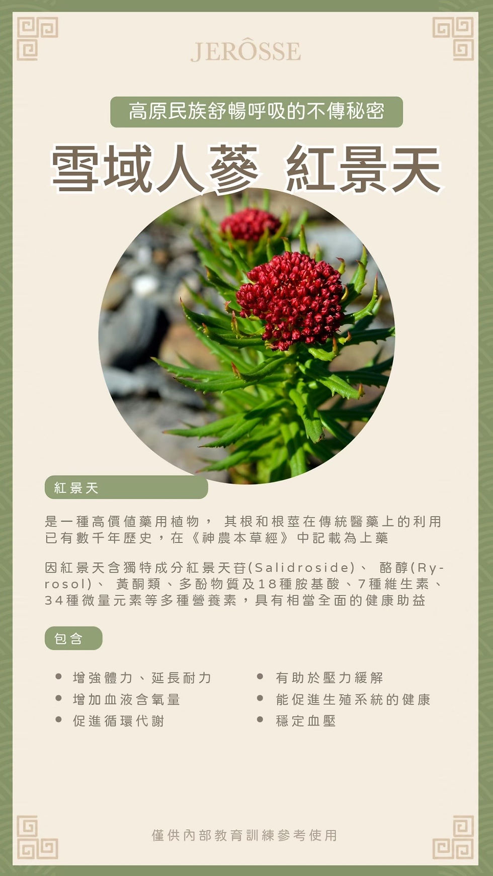Thumbnail: Lungwort Herbal Tea 疗肺正冠茶援助体制感冒咳嗽康复