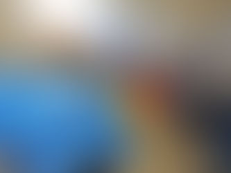 Revitalisierung Kraftwerk Liesing, Mautern