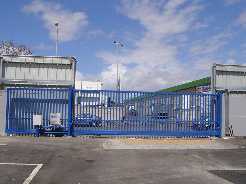 p06.jpg