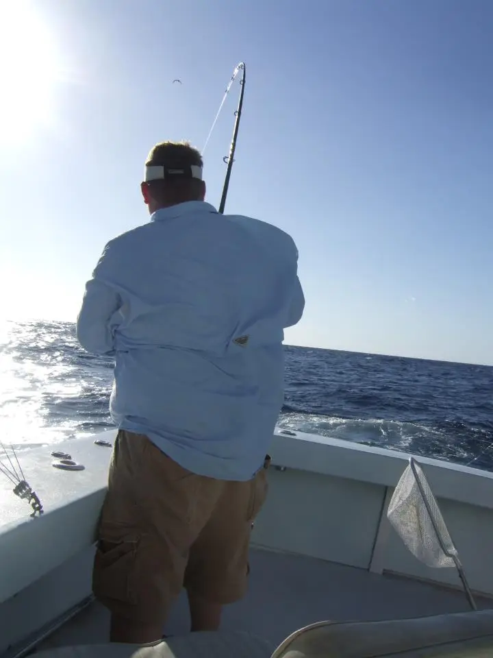 420091_10150685852640490_353501820_n.webp