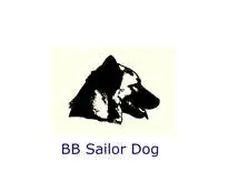 bb-sailor-dog.webp