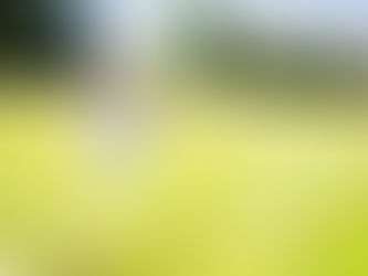 Které potraviny jsou plné škodlivé chemie