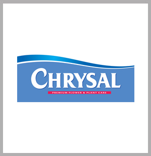Chrysal