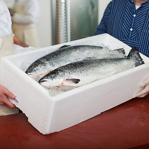shutterstock_144122515_edited.jpg