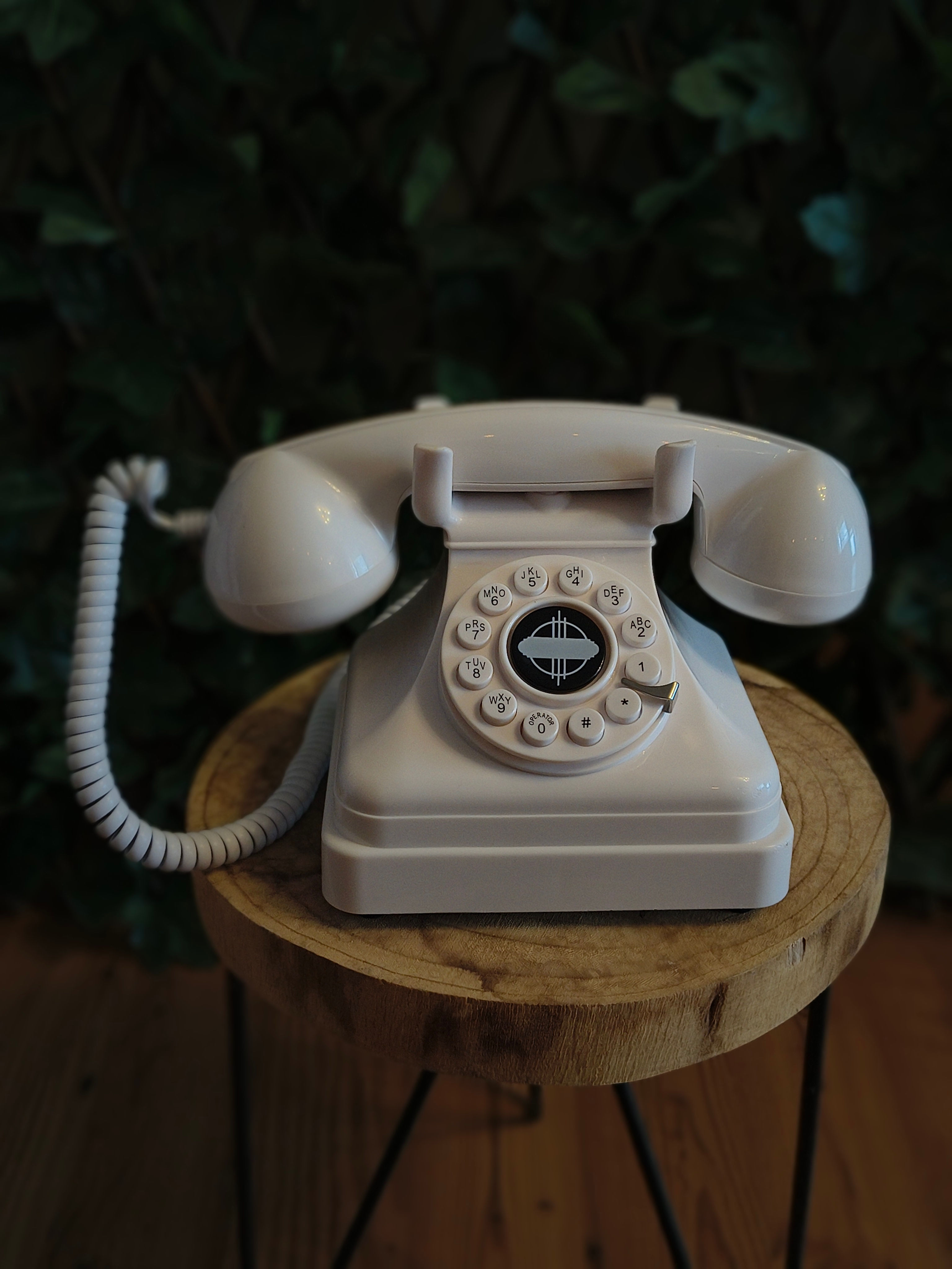 Audio kniha hostů - telefon, bílý