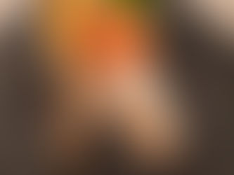 48. Generalversammlung