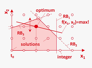 EN_Methods_optimal_integer_programming.p