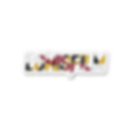 LOMISFILM MD Flag Magnet