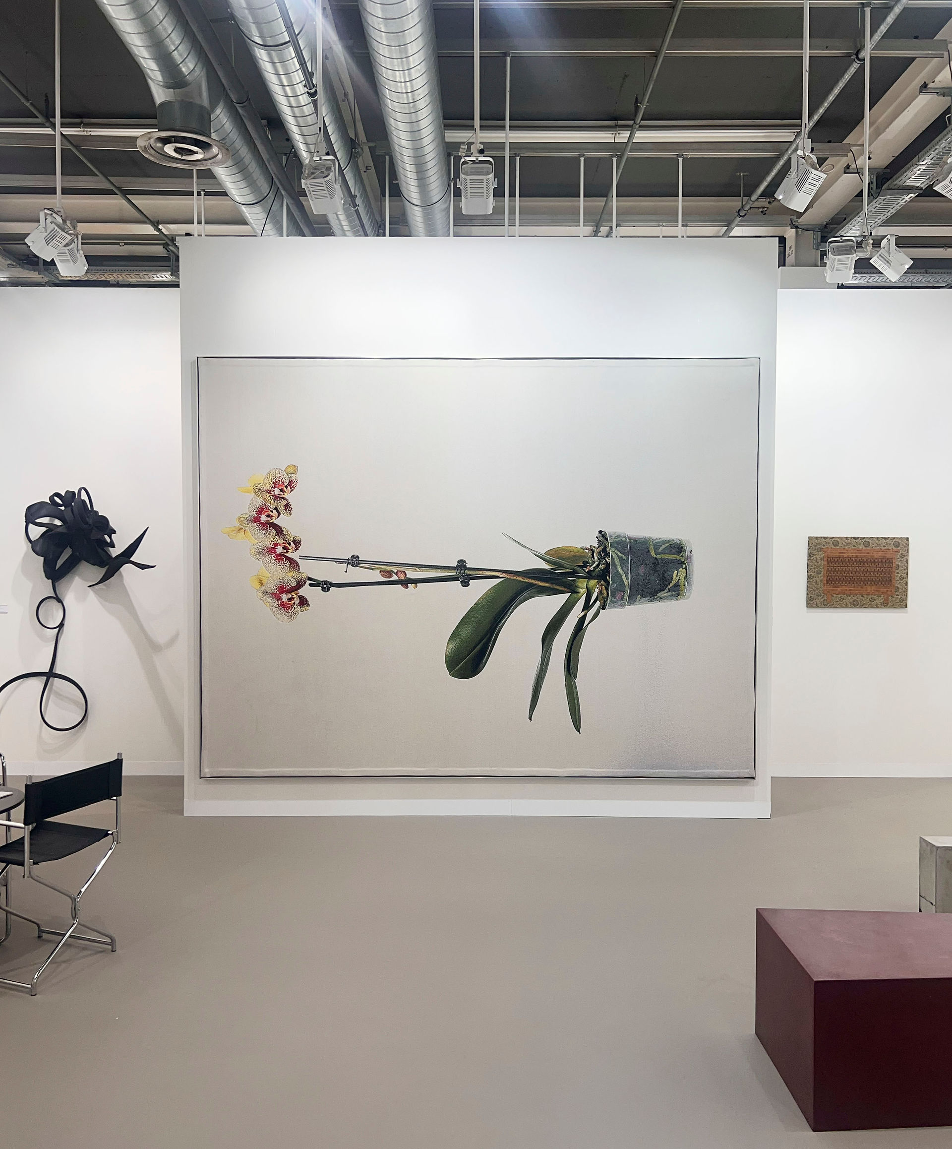 Art Basel 2023  © Alexander Palacios