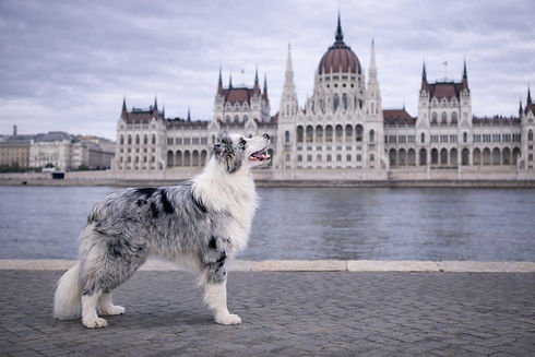 WhatsApp Image 2026-01-16 at 15.02.24.jpeg