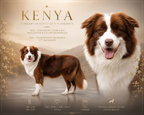 kenya.jpeg