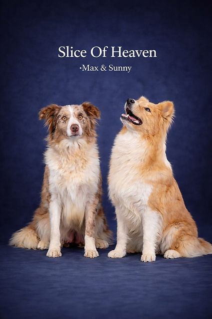 WhatsApp Image 2026-02-05 at 20.22.32.jpeg