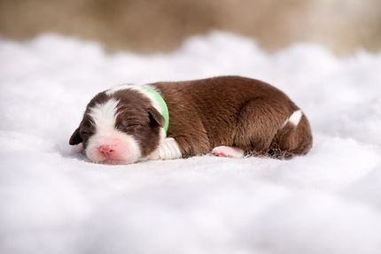 WhatsApp Image 2026-03-20 at 13.56.26.jpeg