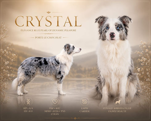 crystal.jpeg