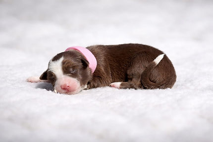 WhatsApp Image 2026-03-20 at 13.34.52.jpeg