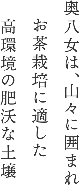 01.gif