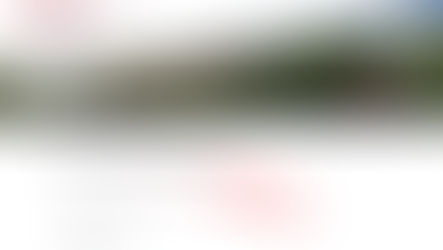 Appello: notificate i vostri membri