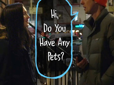 Hi, Do You Have Any Pets?