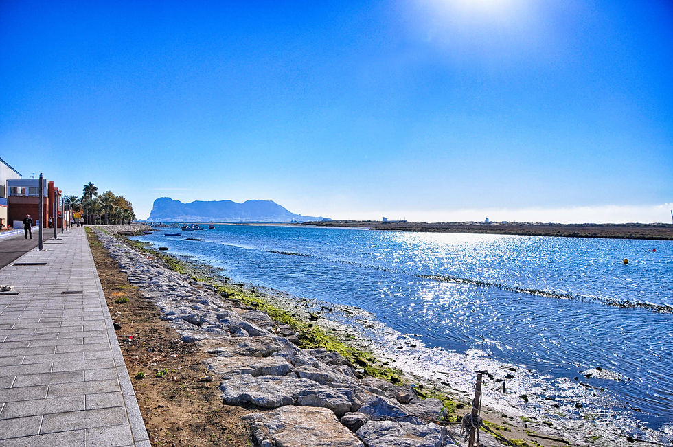 Río Palmones