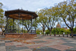 Alemeda Vieja