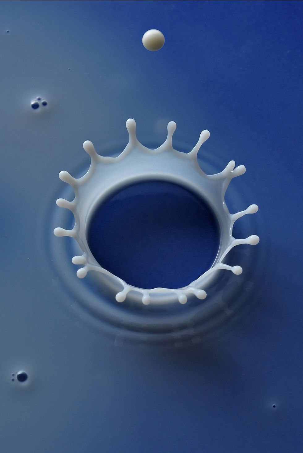 La gota