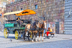 Carromato