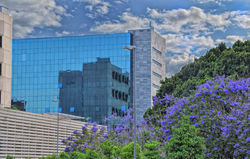 Hotel NH