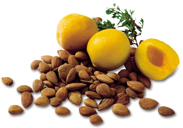 LAETRILE - AMYGDALIN - VITAMIN B17 DAN KANSER: MITOS ATAU 