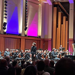 Seattle Concert_edited.jpg