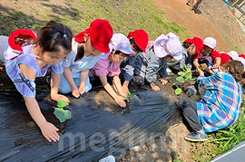 IMG_8055_marked.jpg