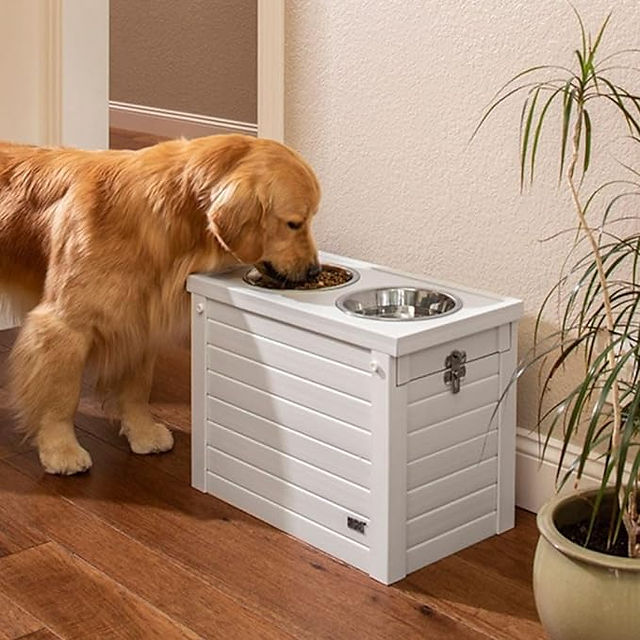 Dog Bowls