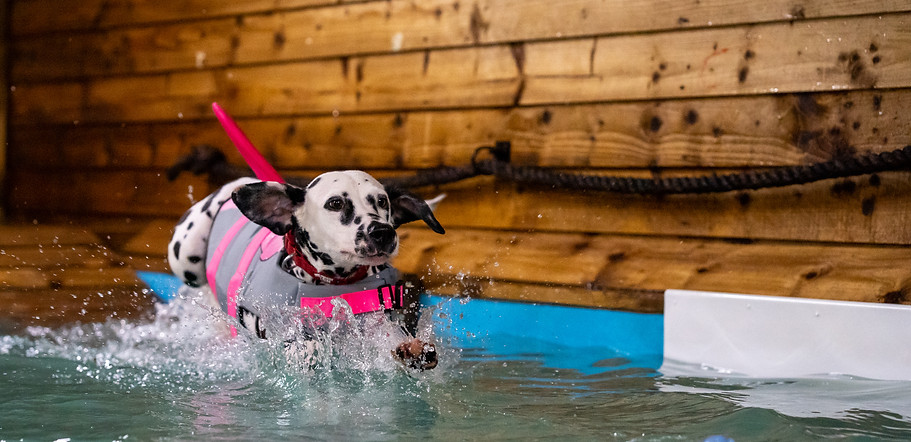 Snoops Splash Pool