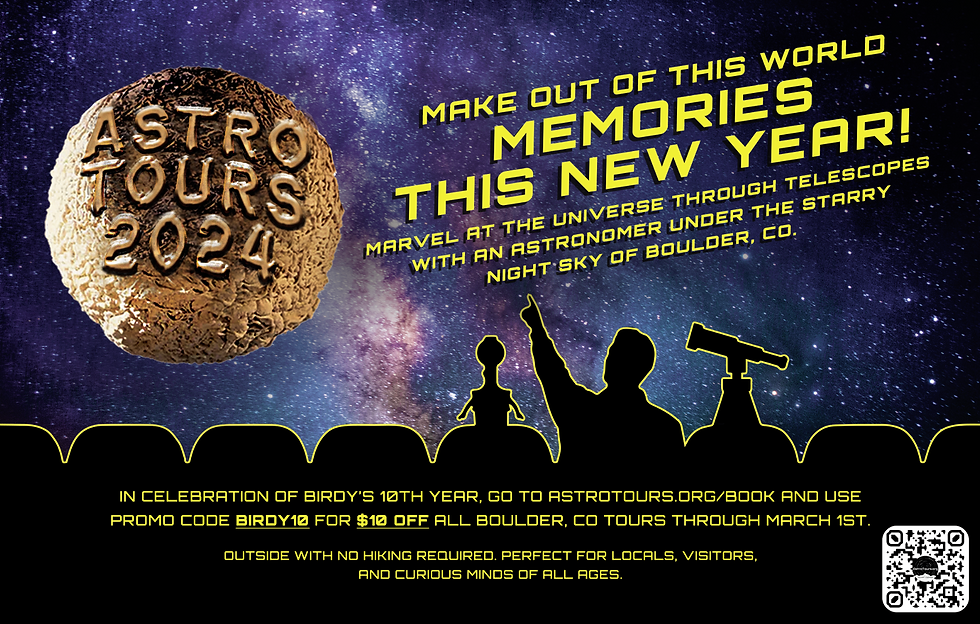January AstroTours Birdy Magazine