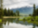 Copy of Untitled (1).png