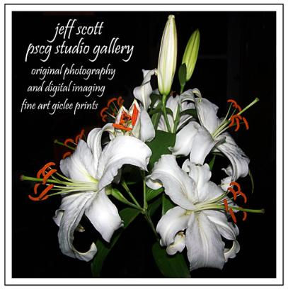 white_graphics2-407x409.jpeg