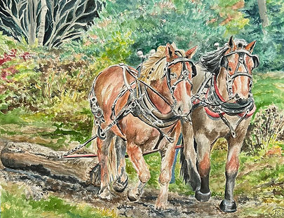 Elizabeth D'Amico Logging Team (1) (1).jpeg