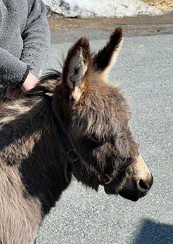 Eloise Head Shot.JPG