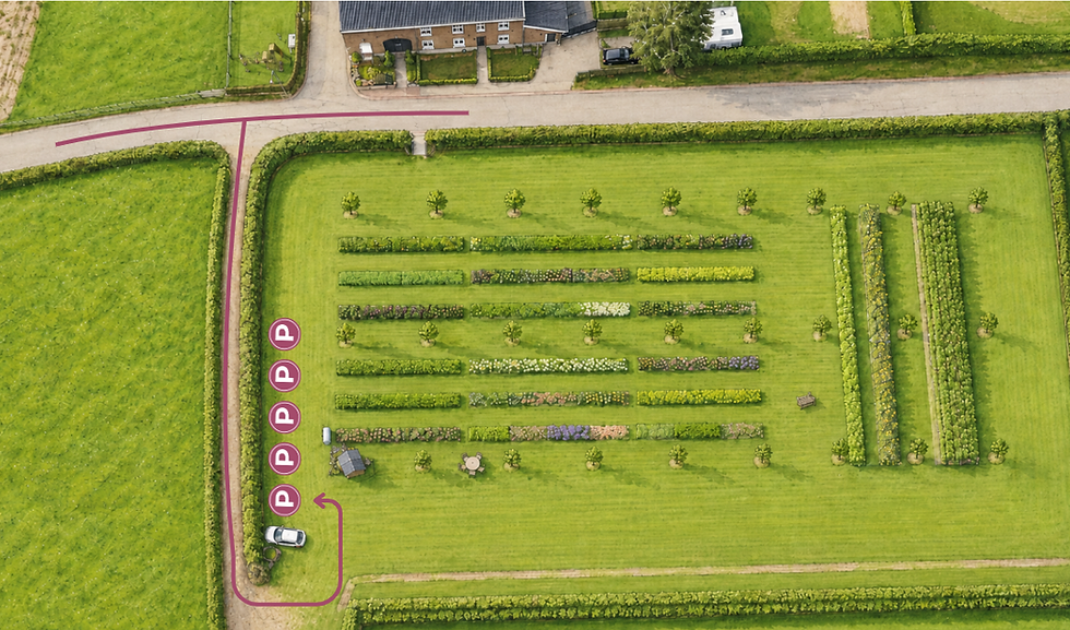 Plattegrond pluktuin