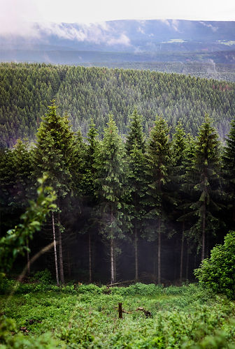 carl-bettermann-IDegO6XNt68-unsplash.jpeg