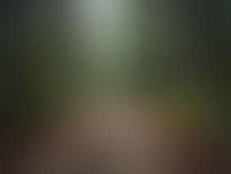 Essential Camping Tips for Off-Road Adventures