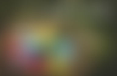 My Old Friends, Collective Nouns