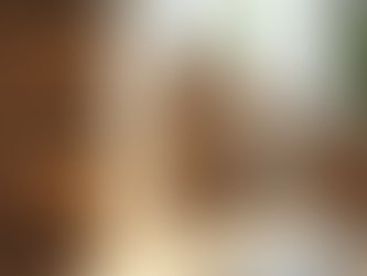 Efficient Packing Strategies for a Hassle-Free Move