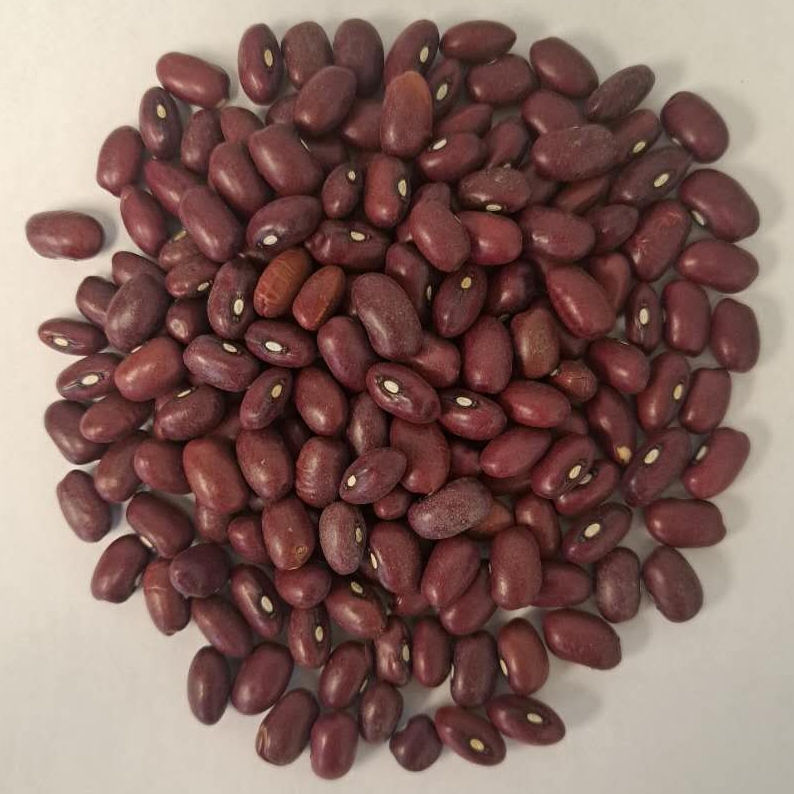 Organic Small Red Beans 908g