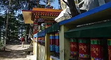 IMGP2017-2-735x492.jpg.webp