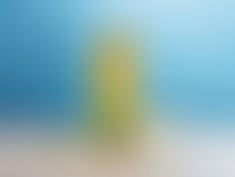 Az aloe vera és az emésztés – mit tud valójában?