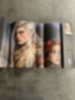 Thumbnail: PRE-ORDER Dragon Isle Wars Collector's Edition Hardcover