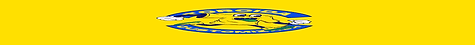 selotorcida.gif