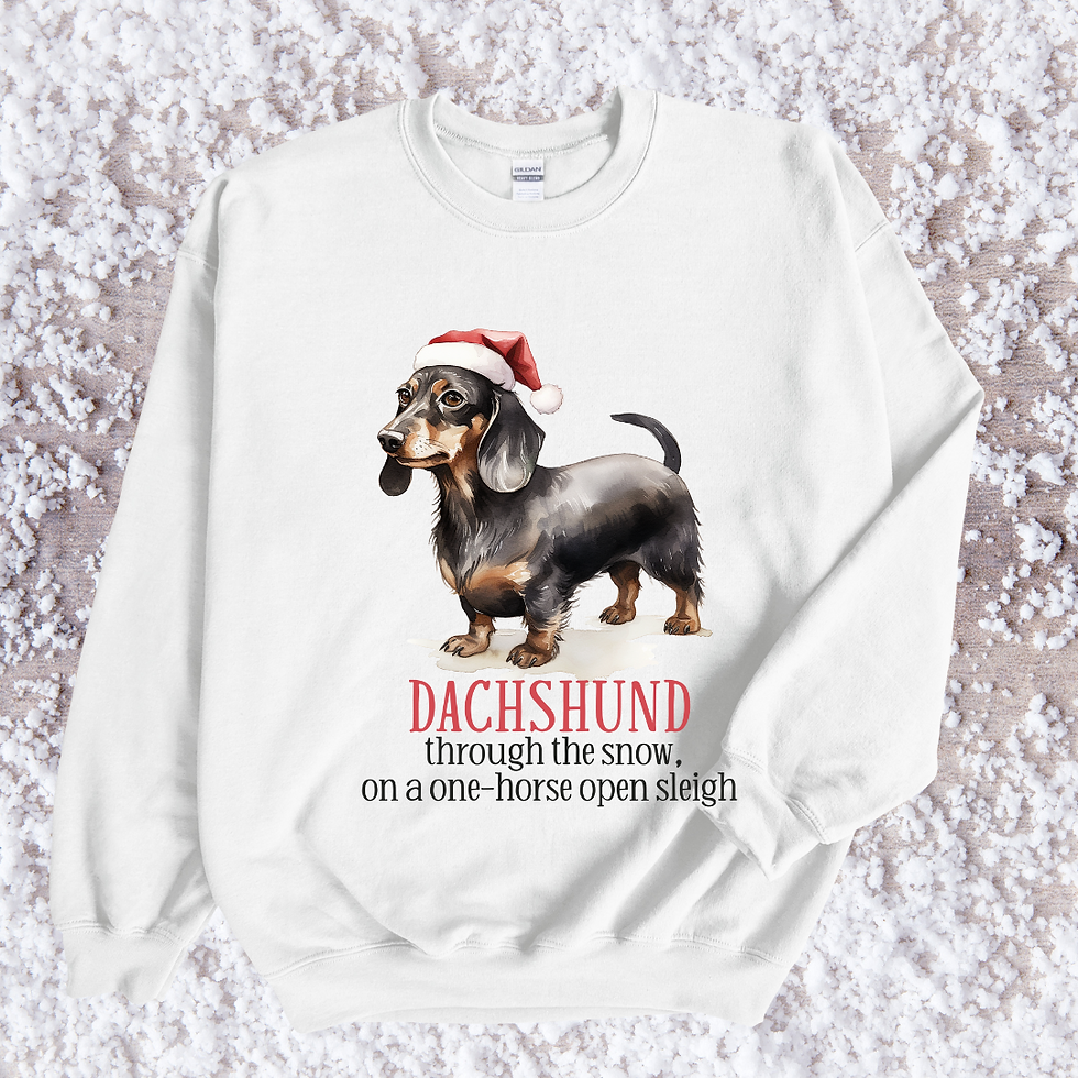 Dash hound through the snow dog lover sweatshirt collection
