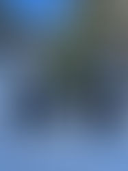 Christbaumstellen 2025